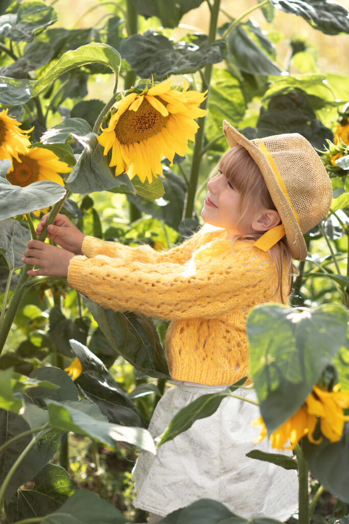 sesja dziecięca w słonecznikach Gdańsk