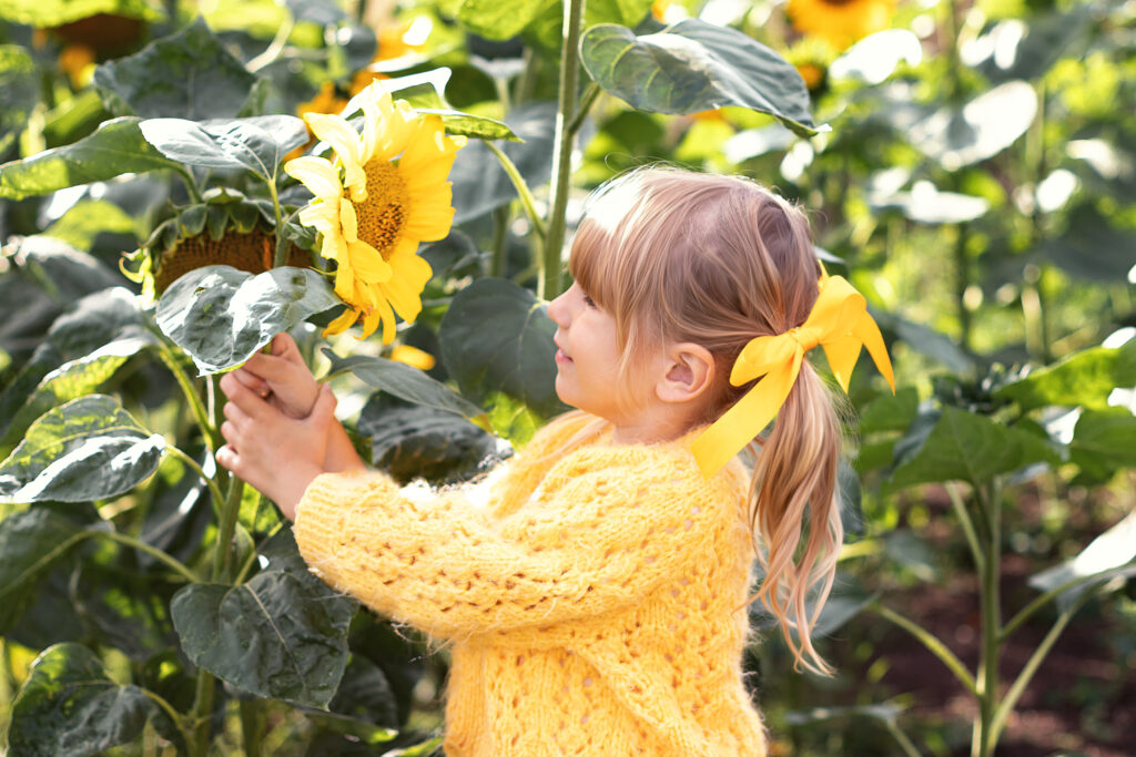 sesja dziecięca w słonecznikach Gdańsk