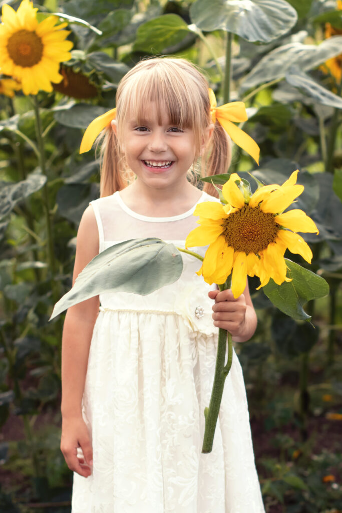 sesja dziecięca w słonecznikach Gdańsk