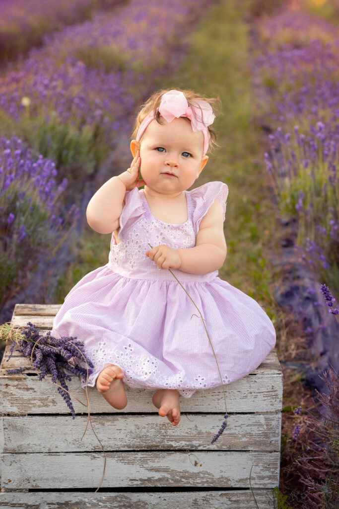 sesja w lawendzie Pruszcz Gdański