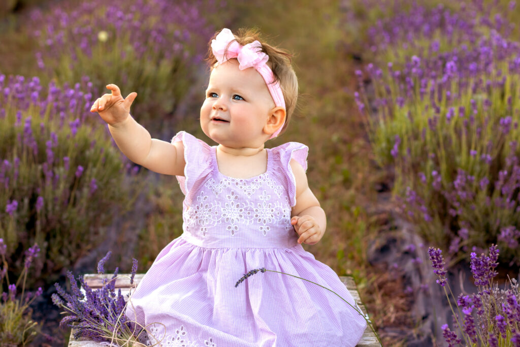 sesja w lawendzie Gdańsk